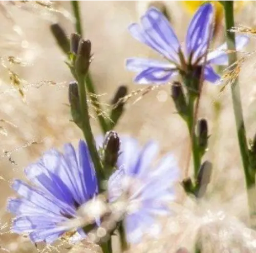 Cultivating values in everyday life