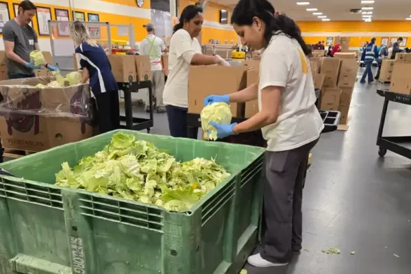 BKSV actively participated in Second Harvest of Silicon Valley