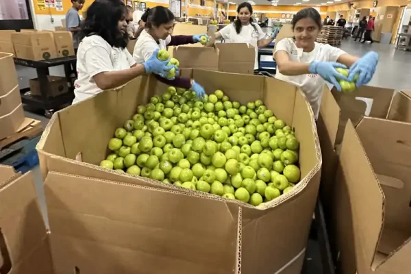BKSV actively participated in Second Harvest of Silicon Valley